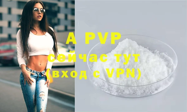 прущие крисы Новозыбков