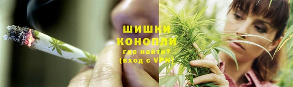 тгк Новокубанск