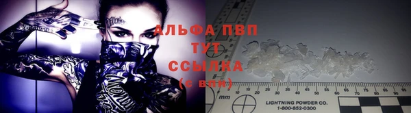 тгк Новокубанск