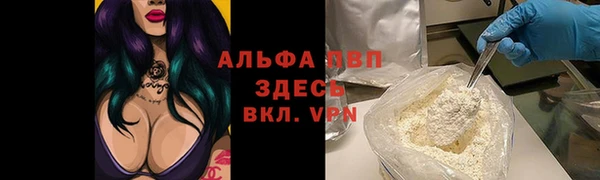 бошки Новодвинск
