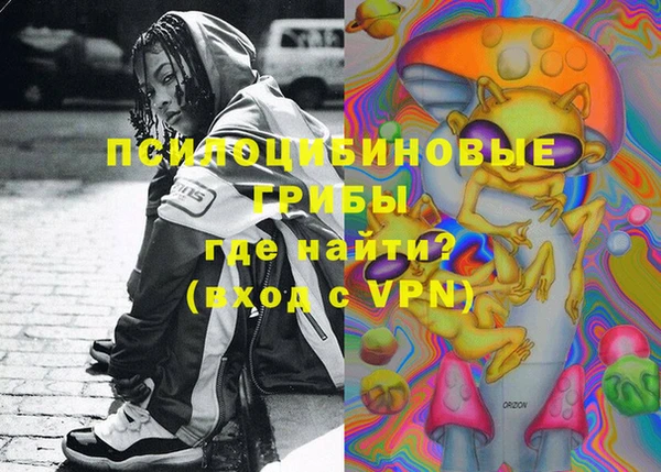 прущие крисы Новозыбков