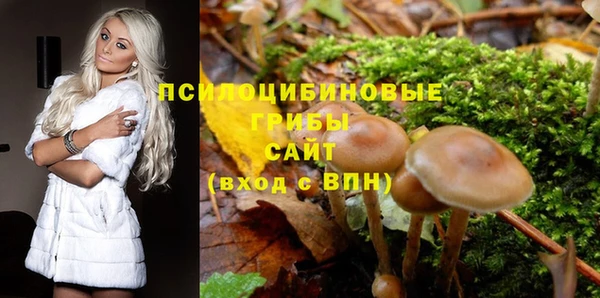 бошки Новодвинск