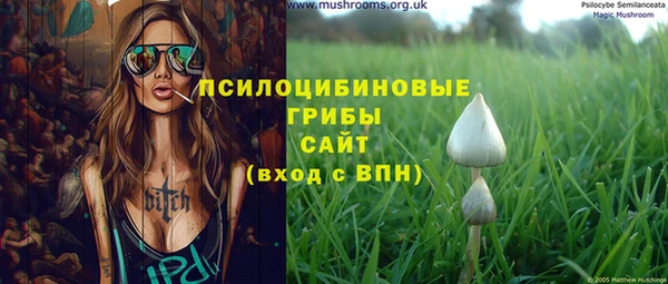 сатива Абдулино