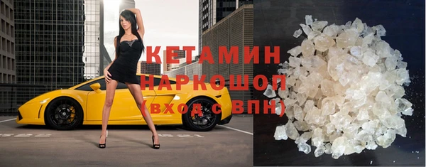 прущие крисы Новозыбков