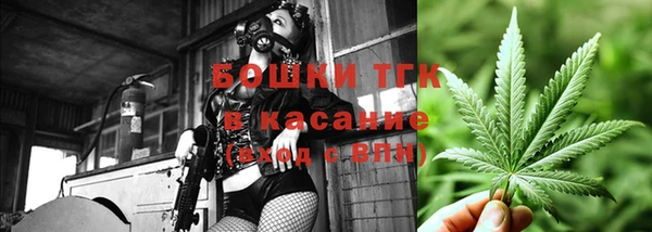 тгк Абаза