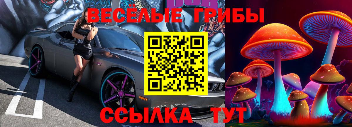 Псилоцибиновые грибы GOLDEN TEACHER Карталы